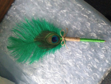 Peacock Pen for Colour 
