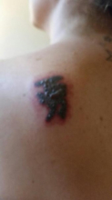1st session