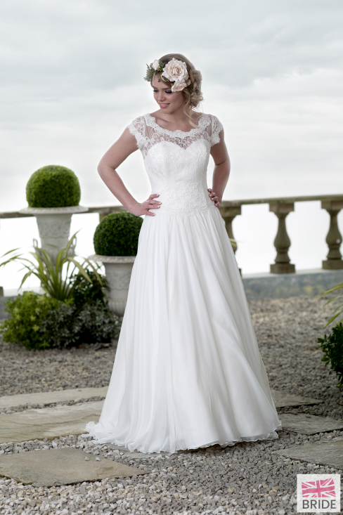 Summer forget me not 133410 RT.jpg