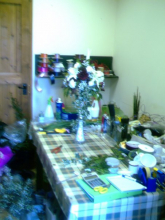 IMAG0031.JPG