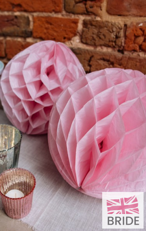 LARGEHONEYCOMBPAPERPOMSPINK5TheWeddingofmyDreams(4).jpg