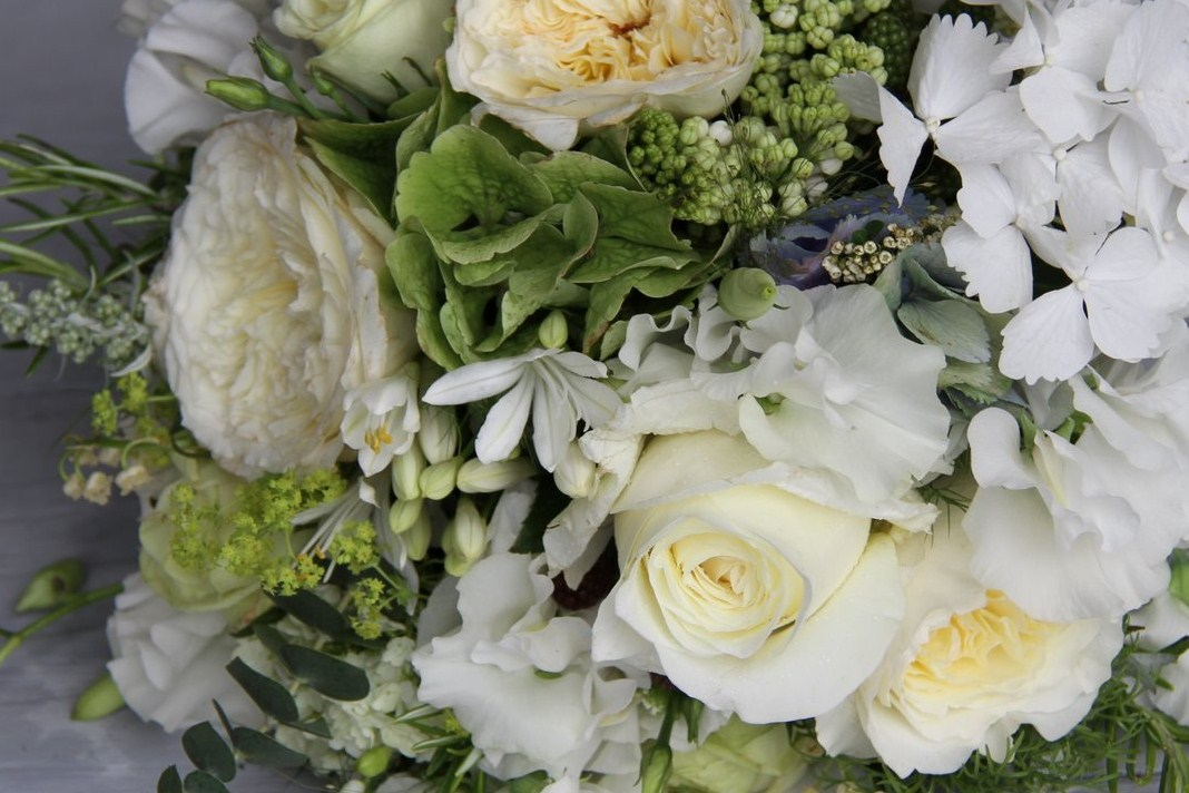 The Blacksmiths Daughter - Florists - Petersfield  - Hampshire
