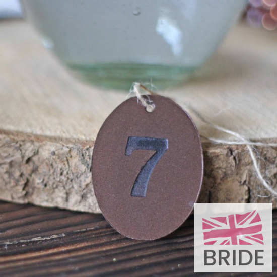 BRONZEDISCWEDDINGTABLENUMBERS-SETOF12for12TheWeddingofmyDreams(2).jpg