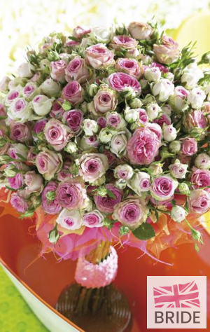 These-spray-roses-are-Mimi-Eden-and-Pepita,-and-have-a-wonde.jpg