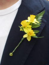 daffodil-buttonhole.jpg