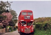 red bus.jpg