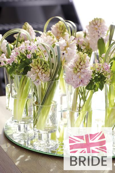 Simple-and-chic---hyacinths-and-china-grass-in-rows-of-shot-.jpg