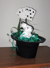 Rabbit in Hat007_edited-1.jpg