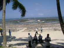 Mombasa beach