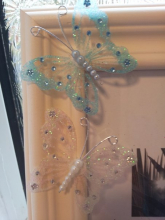 2012-01-23 09.26.30.jpg