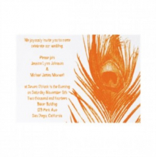 orange_peacock_feather_wedding_invitation-p1619127369808530522nk2b_300.jpg