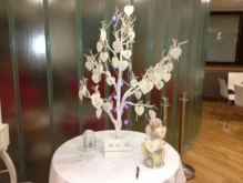 debbie and steves tree.jpg