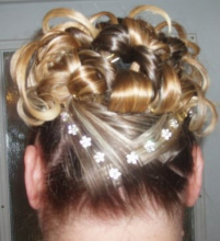 hair jewels for back