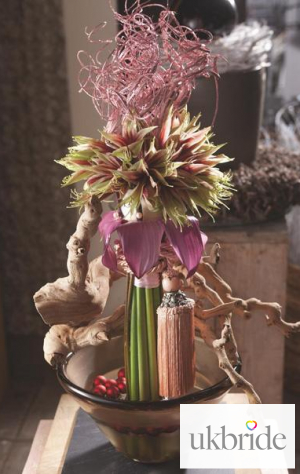 Create-an-entrance-with-a-stunning-amaryllis-decoration-at-y.jpg