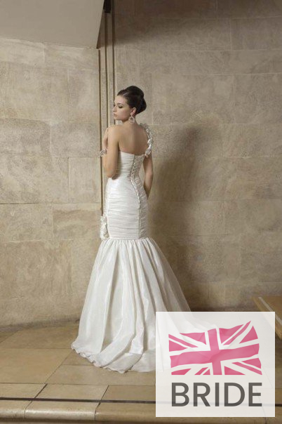 17226_B_back.jpg