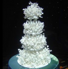 Winter Wonderland Wedding Cake Pictures.jpg