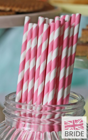 PINKSTRIPEDPAPERSTRAWS-PACKOF303TheWeddingofmyDreams(2).jpg