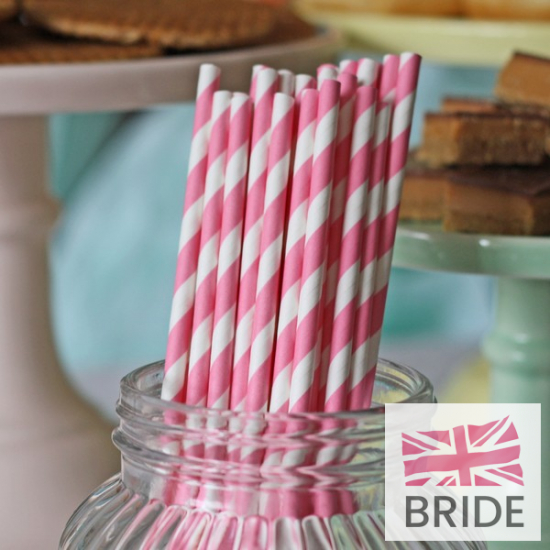 PINKSTRIPEDPAPERSTRAWS-PACKOF303TheWeddingofmyDreams(2).jpg