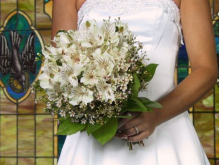 White Alstromeria