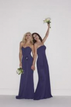 Dress - bridesmaids.jpg