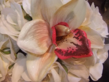 DSCF3747.JPG
