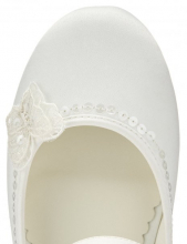 close up of butterfly/sequins