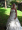 Leanne Wright