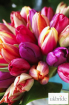 Tulips-look-fabulous-packed-tightly-into-a-modern-handtie.jpg