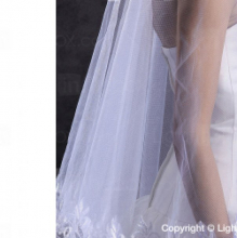 cathedral wedding veil .jpg