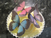 butterfly cupcakes.jpg