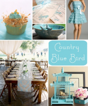 blue bird 8.jpg