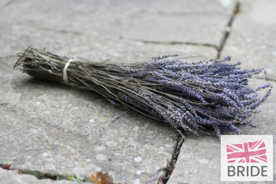 BUNCHOFDRIEDLAVENDER9Approz250stemsTheWeddingofmyDreams(2).JPG