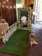 Professional Photo Booth & Magic Mirror Hire