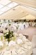 Special Offer from Derbyshire County Cricket Club
