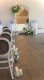 Amalfi White - Weddings of your dream 