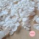 WedFetti - For Your Luxury Petal & Paper Confetti 