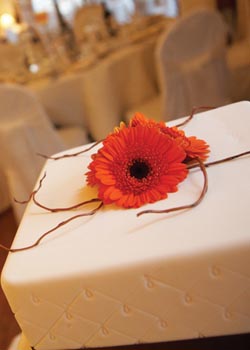 Daniel & Rachel's Wedding