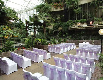 Our £1,000 Power User wedding decoration prize