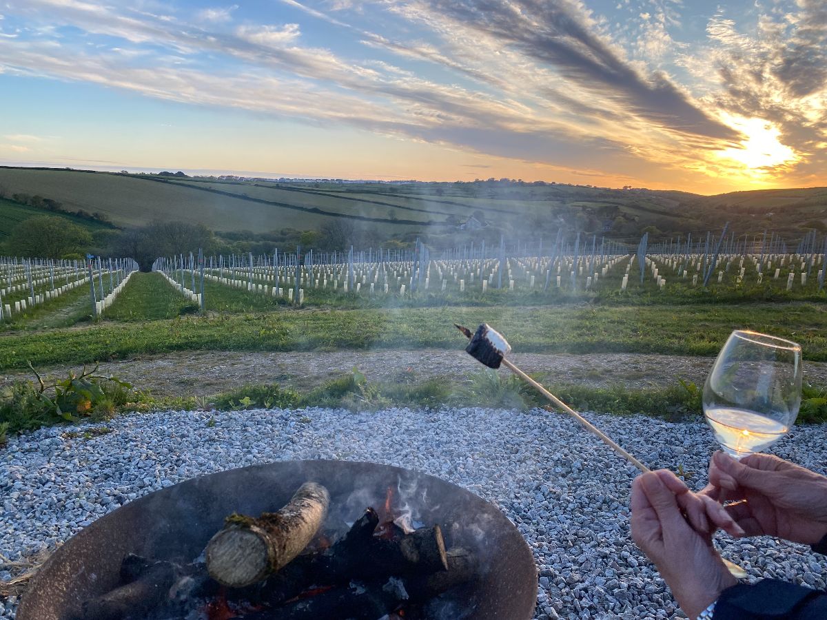 Say “I Do” in your own Vineyard in Cornwall