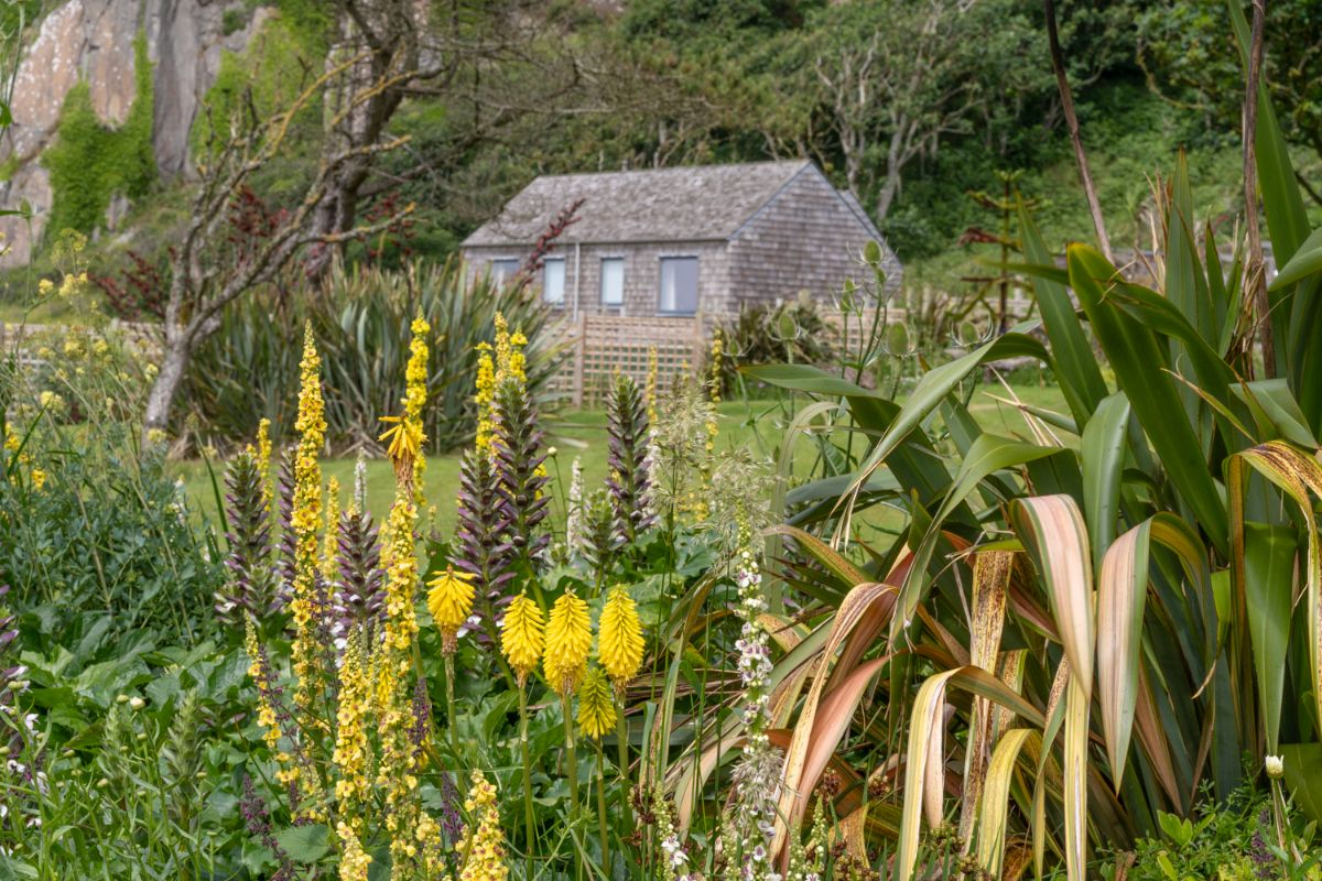Your Own Private Wedding House by the Sea