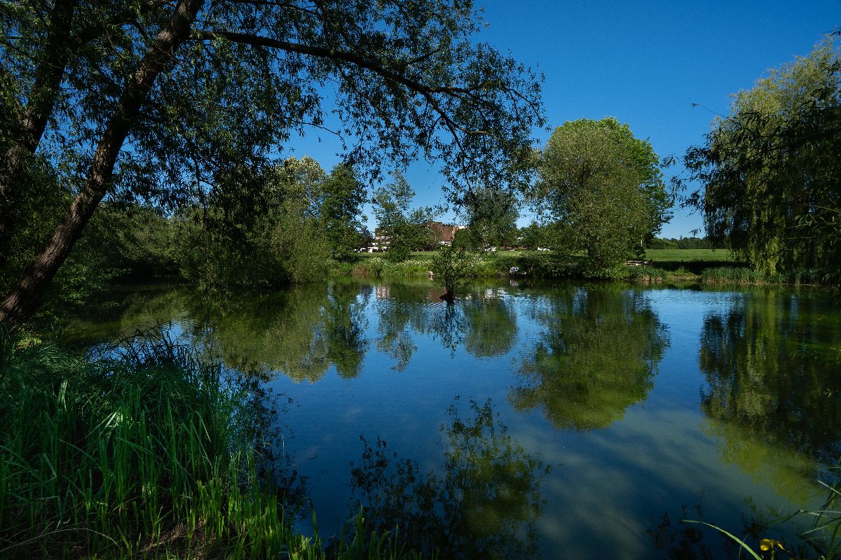 Mercure Maidstone Great Danes Hotel-Image-11