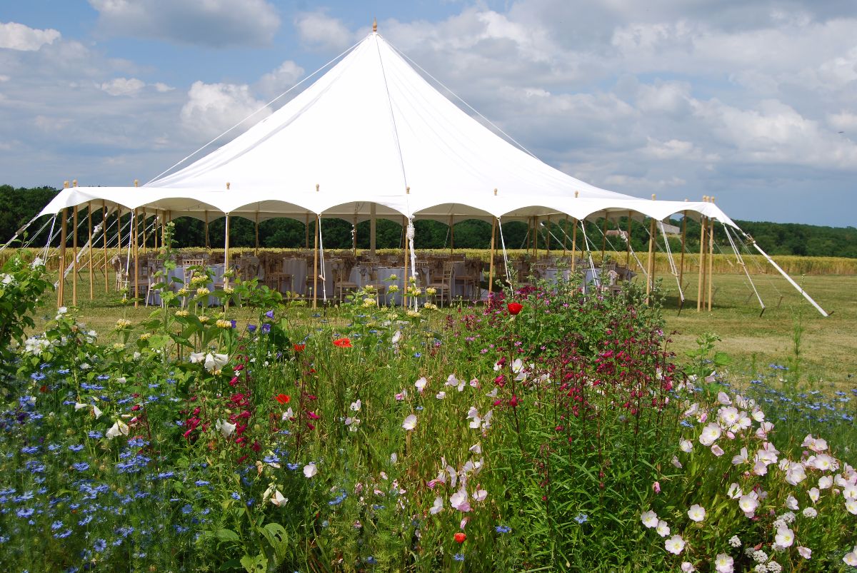 Gallery Item 11 for Adams Marquees Ltd