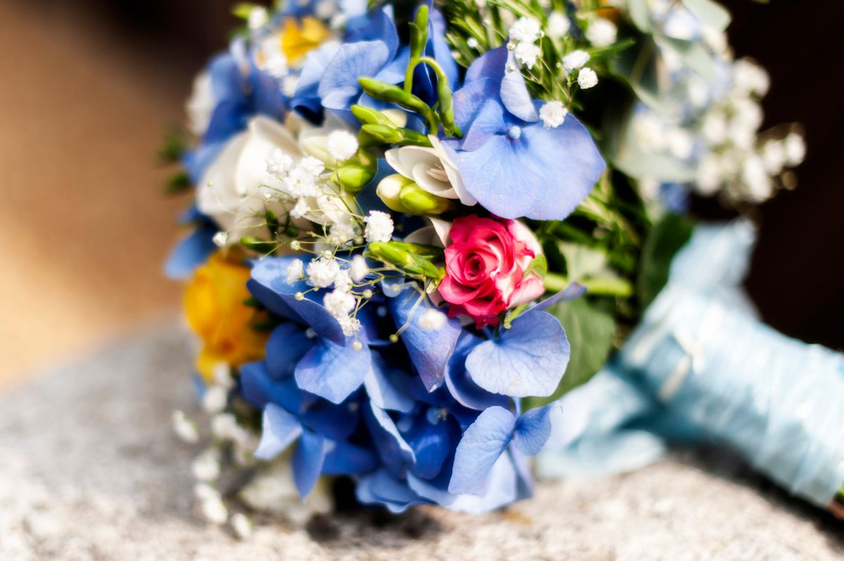 Blue Lights Photography-Image-7