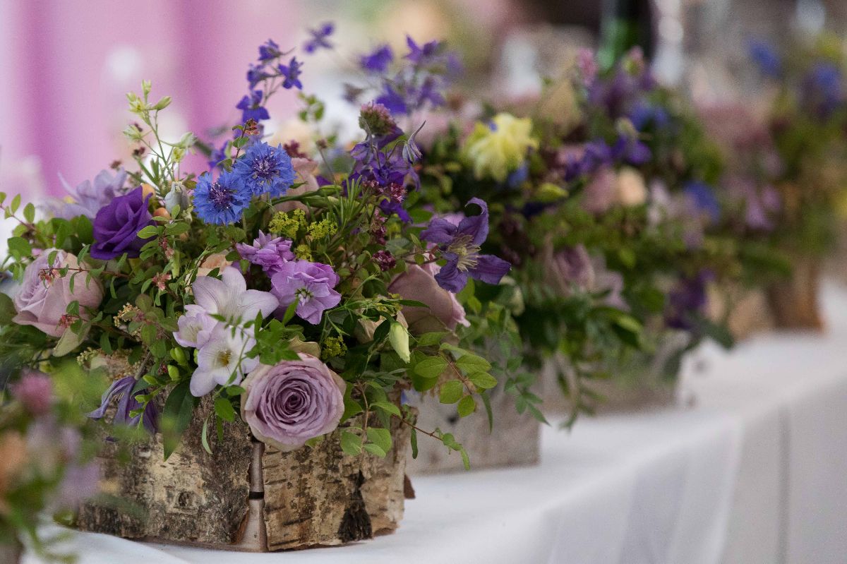 Tina Wing Photography-Image-19