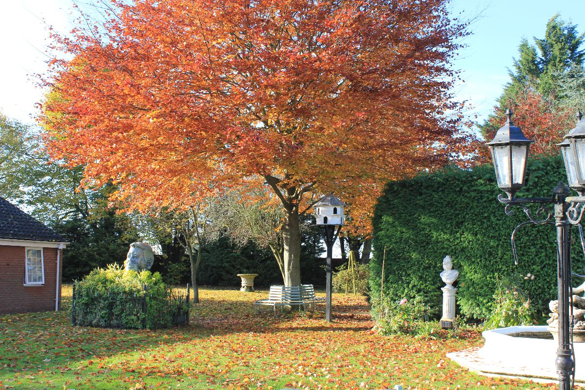Gallery Item 51 for The Old Rectory Hotel