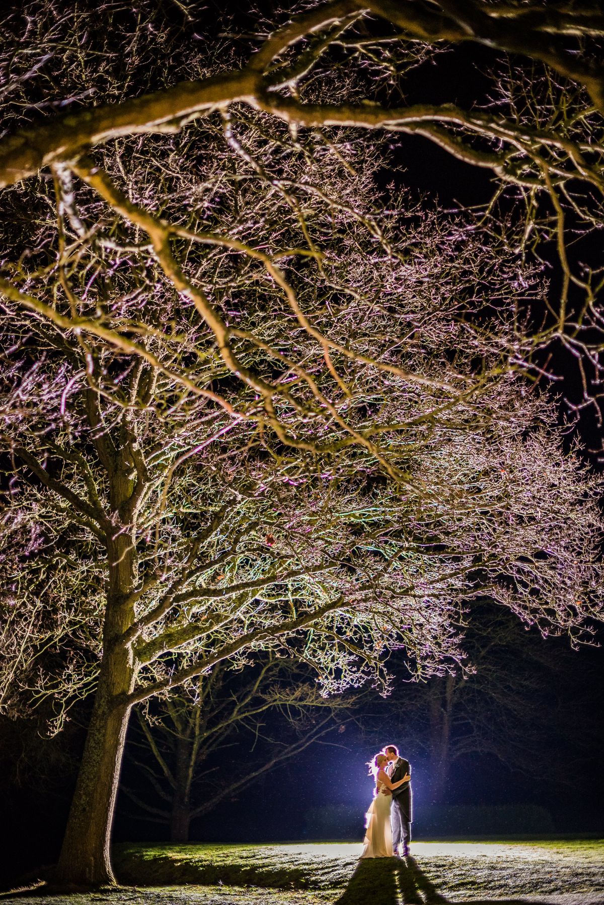 Gallery Item 17 for Highfield Park