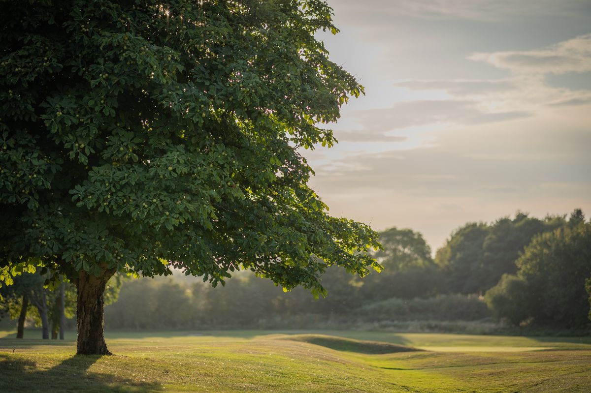 Gallery Item 12 for Grimsby Golf Club Weddings