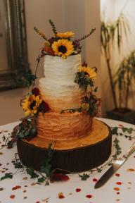 Celebration Cakes By Catherine Scott-Image-49