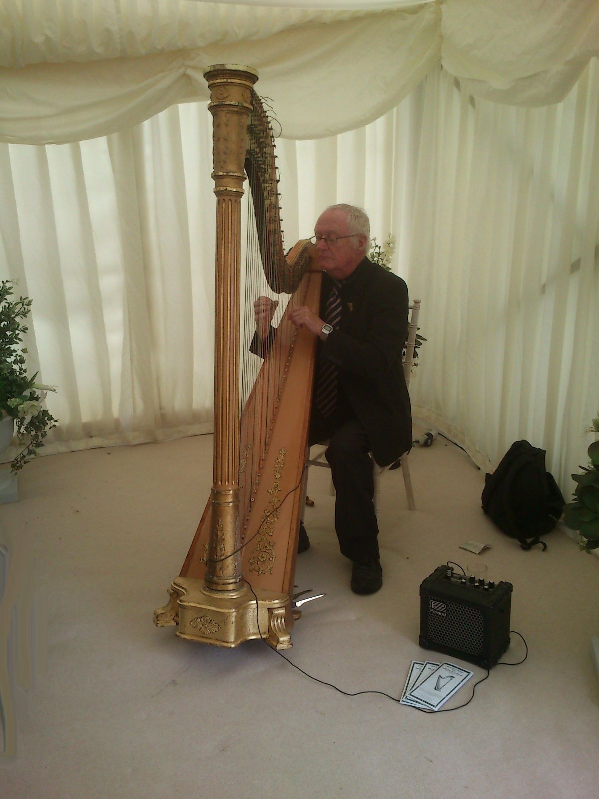 Robert Pacey Wedding Harpist-Image-1