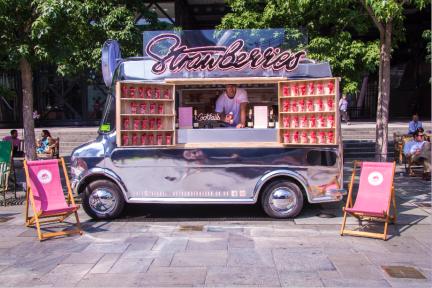 The Artisan Strawberry Van-Image-4